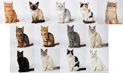 Cute Cat Animals Figurine Decorative Wooden Ornament