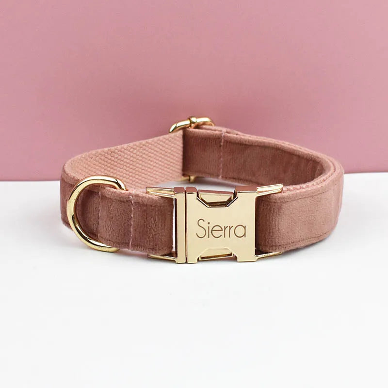 Velvet Collar Free Engrave Dog Collar Leash Dog Collars