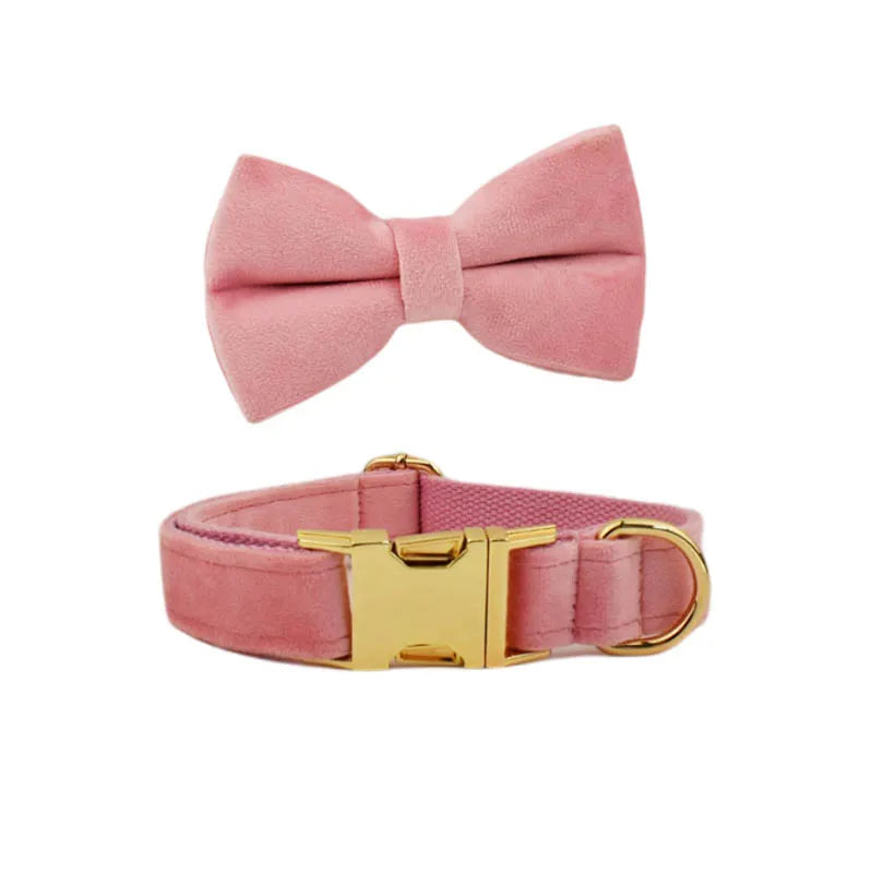 Velvet Collar Free Engrave Dog Collar Leash Dog Collars