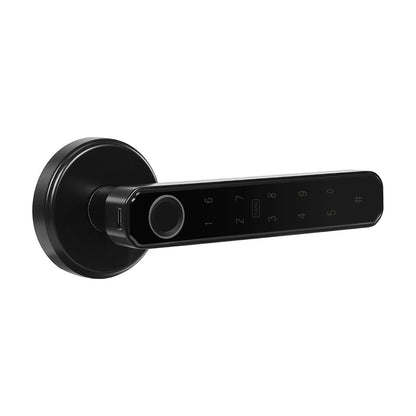 Smart Door Handle Lock Fingerprint/Password/IC Card /Key Unlock
