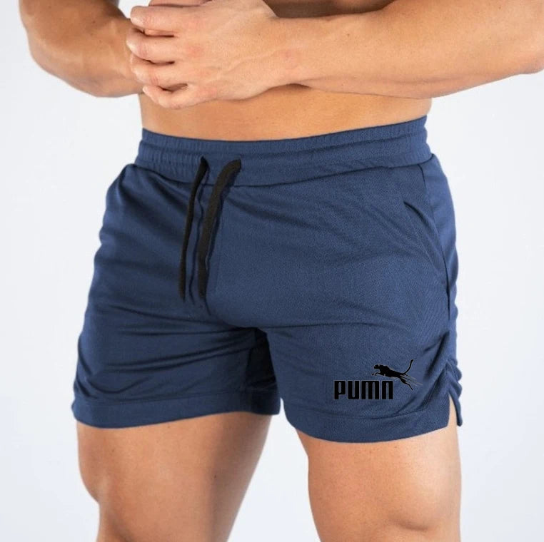Summer Mesh Quick Drying Shorts Men's Sports
