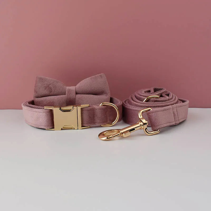 Velvet Collar Free Engrave Dog Collar Leash Dog Collars