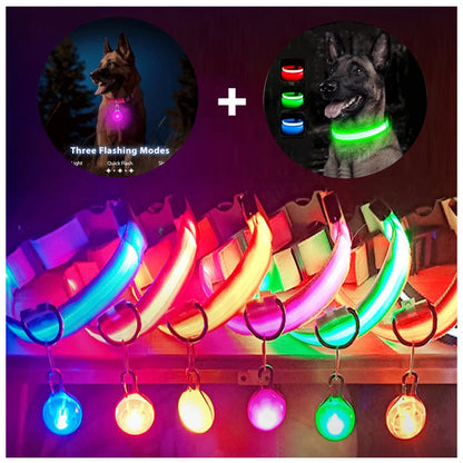 Usb Charging Glowing Dog Collar With Pendant Detachable