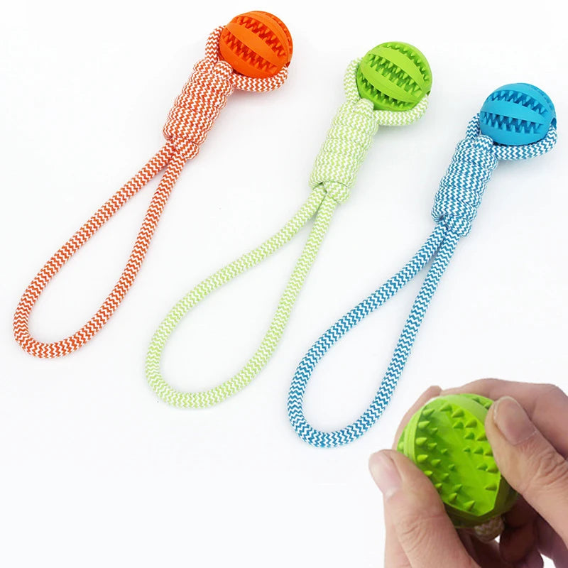 Pet Tooth Cleaning Pet Ball Toy with Rope Rubber Leaking Balls