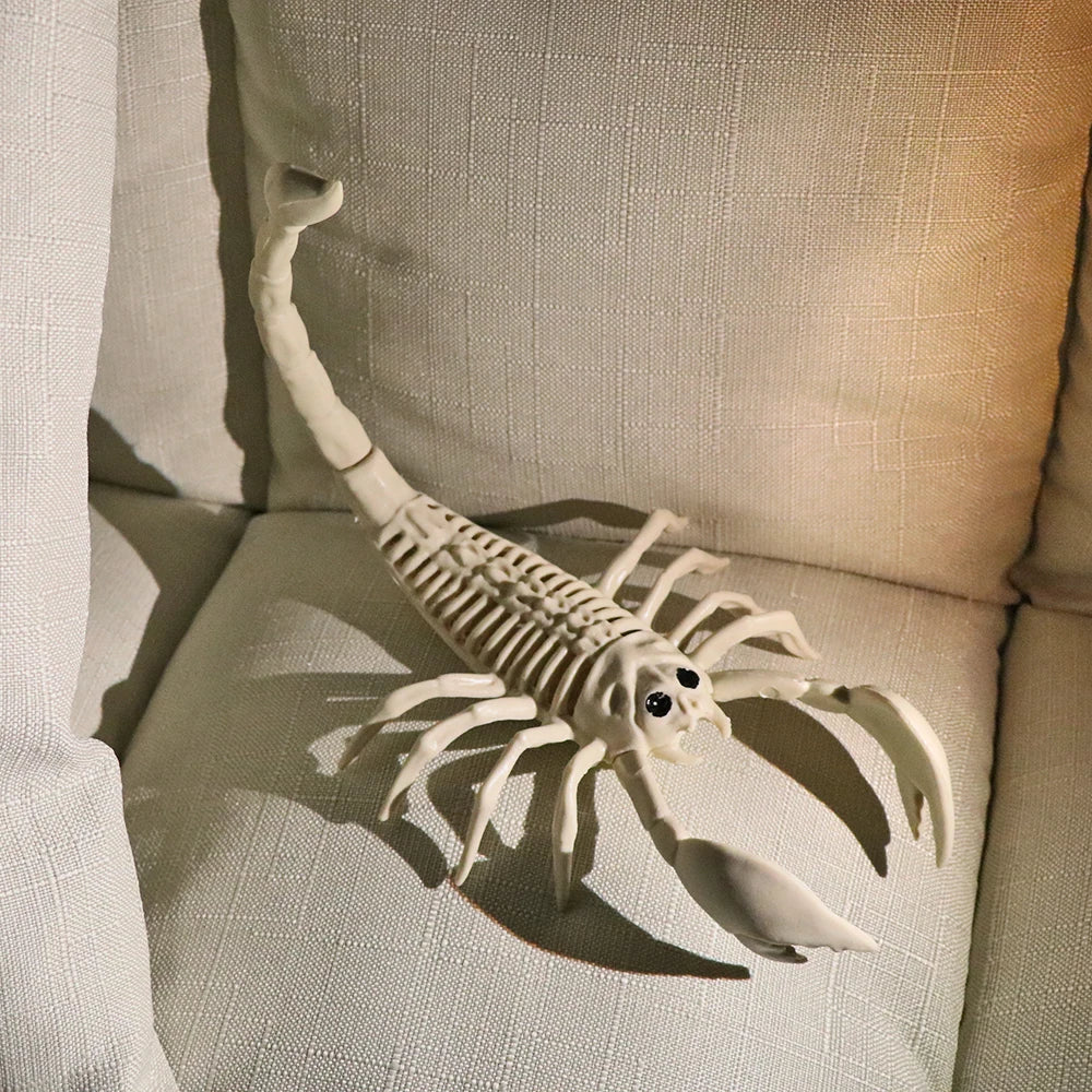 Crazy Bone Skeleton Raven Plastic Animal Skeleton Bones