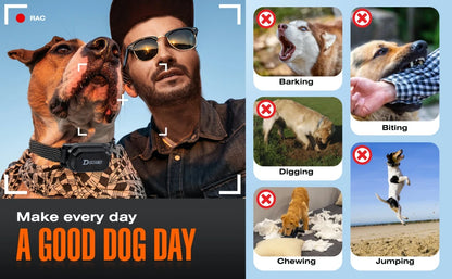 800m Digital Dog Training Collar Shock Vibration Sound