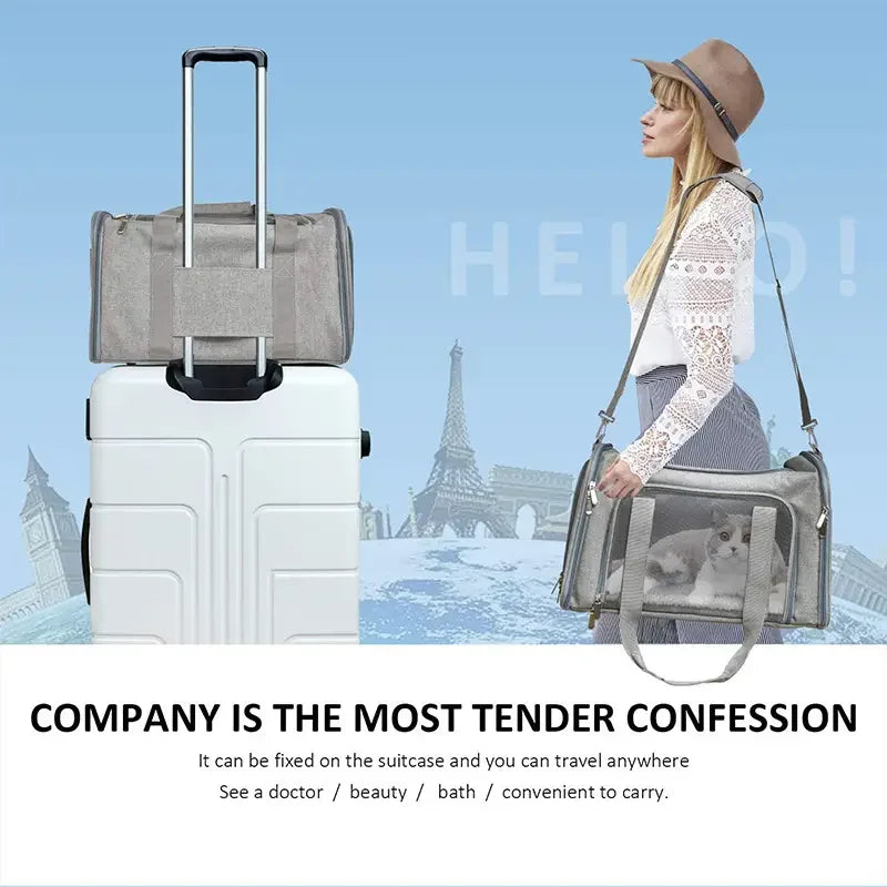 Pet Carrier Bag Side Ventilated Backpack Cat Pet Carriers