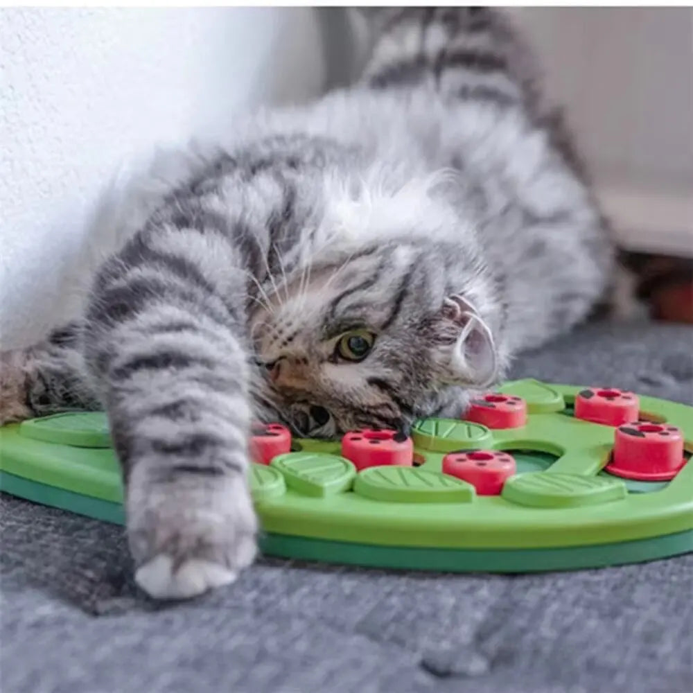 Cat Puzzle Treat Toy Made of High Quality Non Toxic