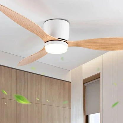 Modern LED Ceiling Fan Lights, Low Floor Decorative Lights