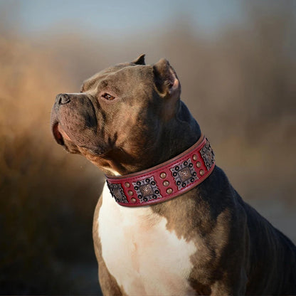 Genuine Leather Dog Collar 2inch Wide Dog Collars