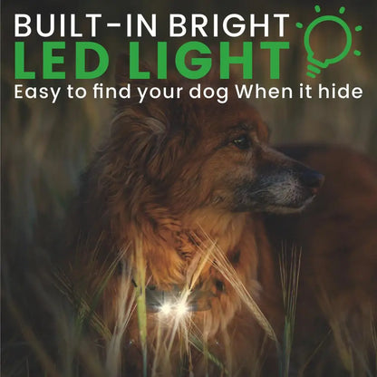 Electric Dog Training Collar Waterproof Dog Bark Collar