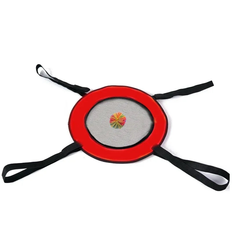 Two Person Interactive Throwing And Catching Game