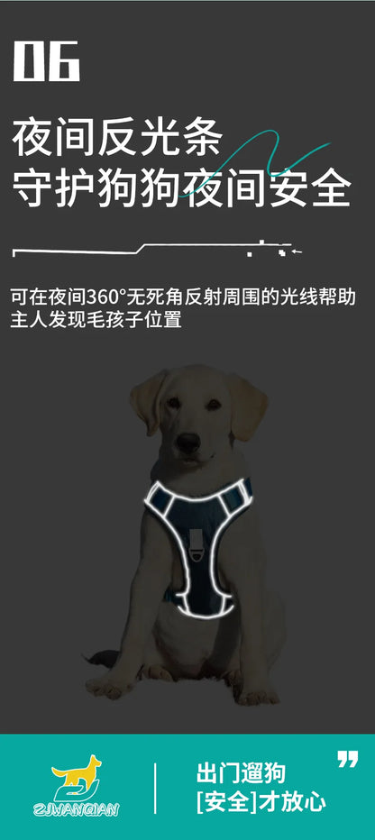 Automatic retractable dog leash with chest and back strap