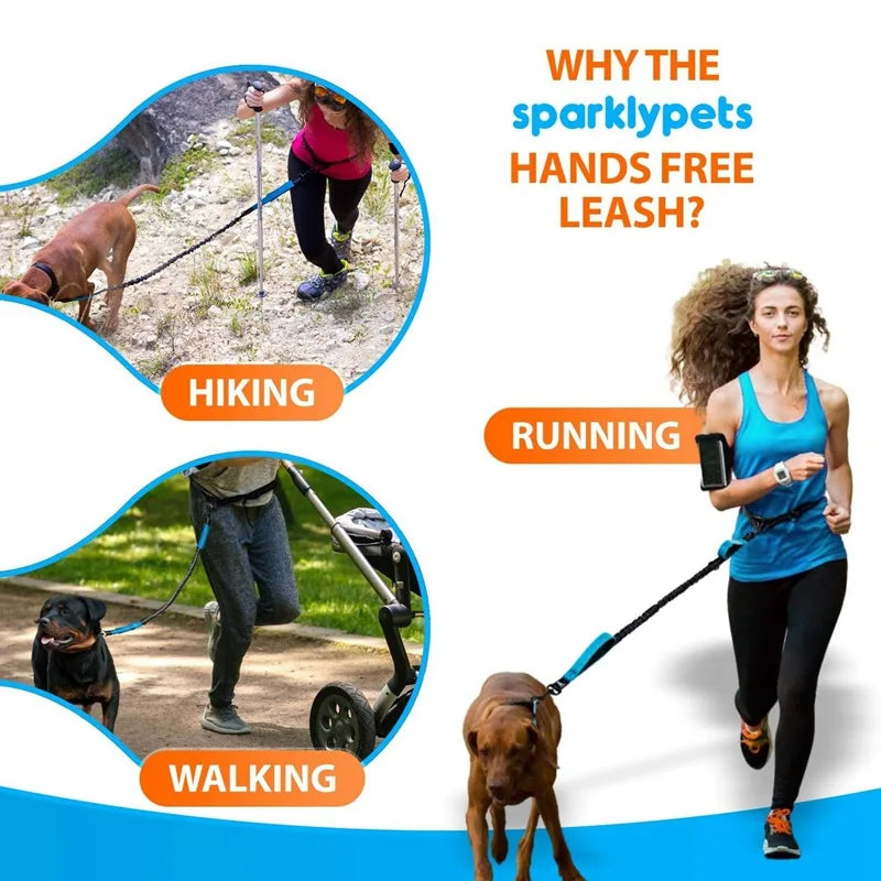Double elastic reflective running leash portable