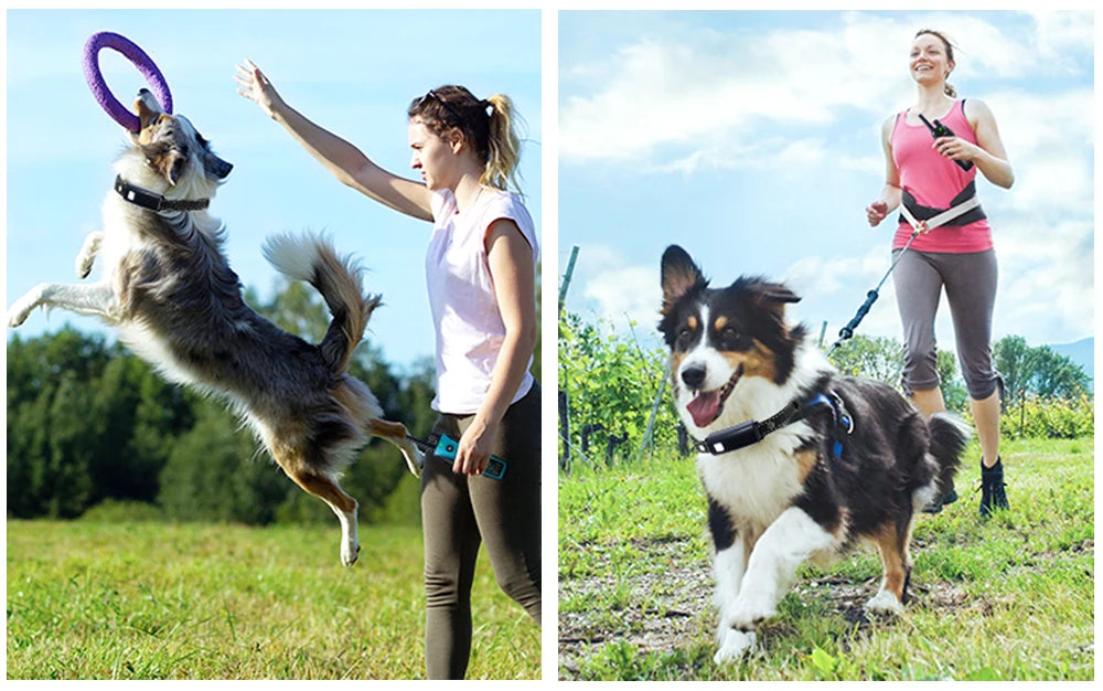 Electric Dog Training Collar Remote Control With  Vibration Shock