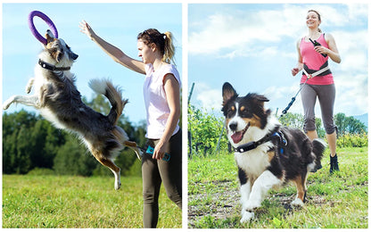 Electric Dog Training Collar Remote Control With  Vibration Shock