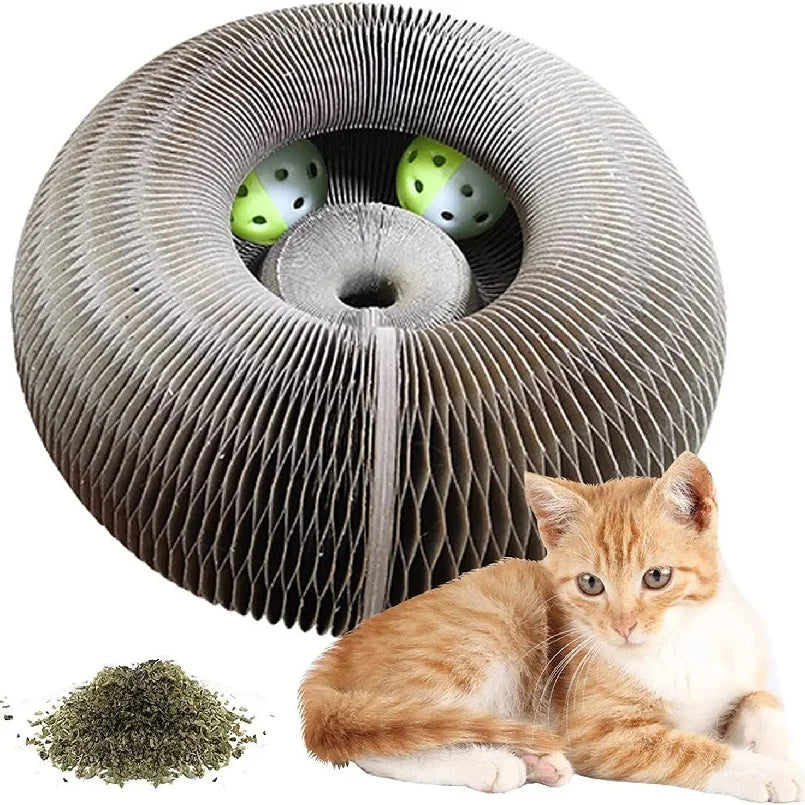 Kitten Curl Toy Foldable Magic Organ Cat Scratching Board