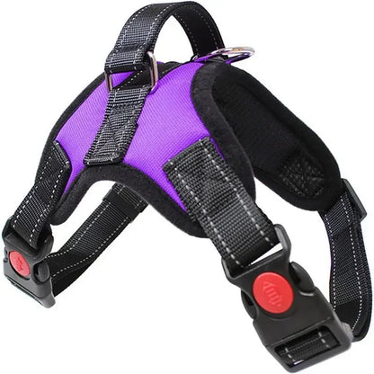 Adjustable Dog Harness Leash Set Chest Strap