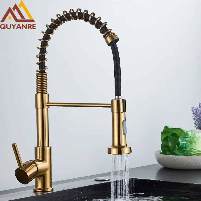 Brushed Gold Kitchen Faucet Pull Down 2-way Spray Single