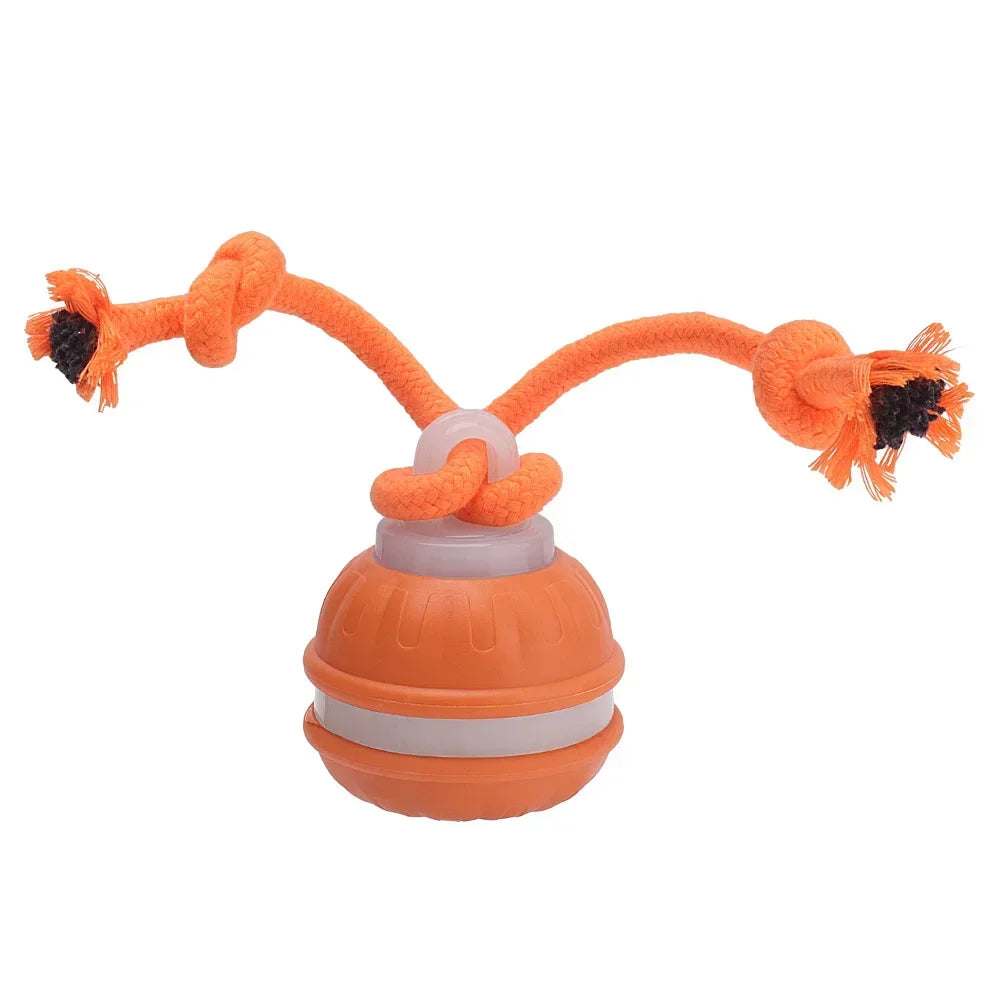 Cat Dog Interactive Ball Toy Automatic Rolling Ball