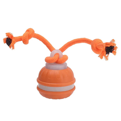 Cat Dog Interactive Ball Toy Automatic Rolling Ball