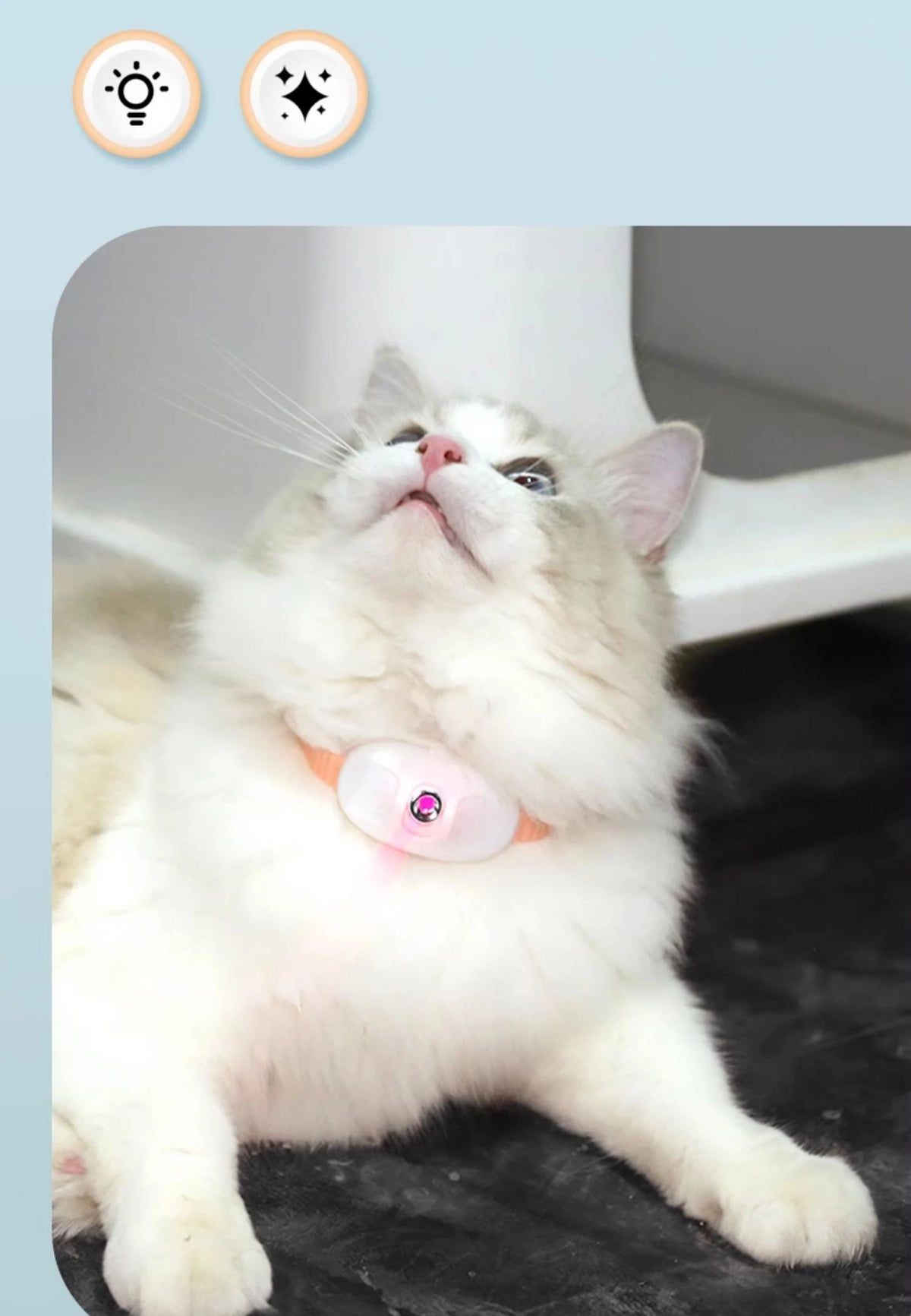 Laser Cat Collar Teasing Cat Electric USB Charging Kitten