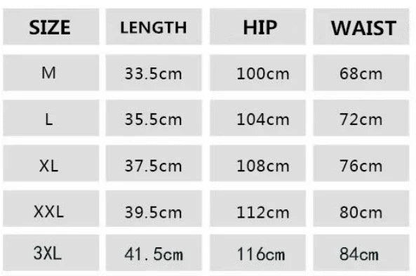 Summer Mesh Quick Drying Shorts Men's Sports