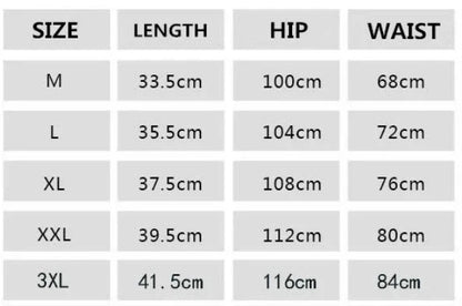 Summer Mesh Quick Drying Shorts Men's Sports