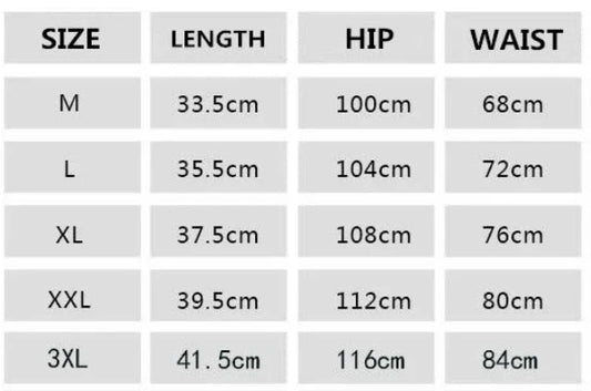 Summer Mesh Quick Drying Shorts Men's Sports