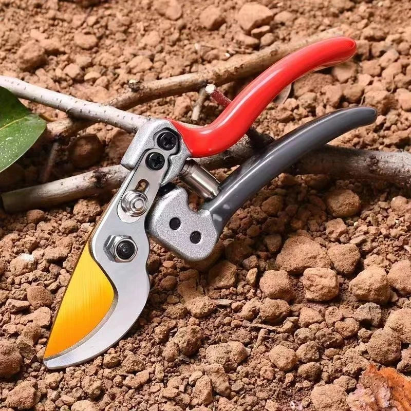 Horticultural Shears Trim Branches Fruit Trees Flowers