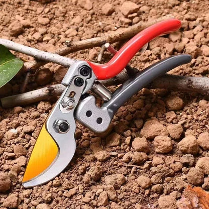 Horticultural Shears Trim Branches Fruit Trees Flowers