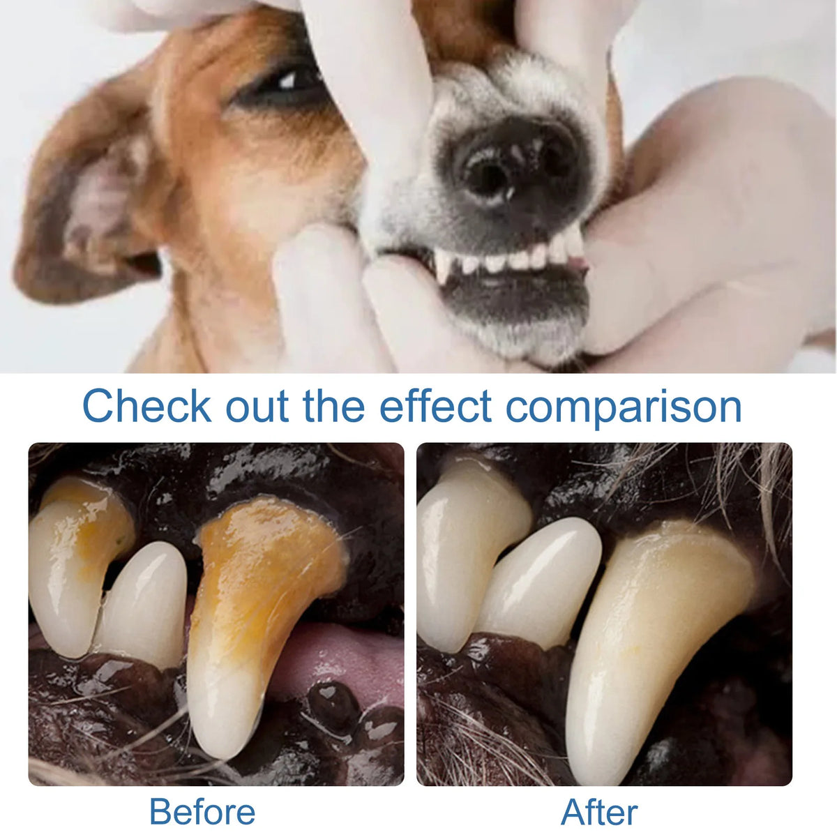 Pet Oral Spray Dental Dirt Remover Cat Teeth Cleaning Breath Freshener