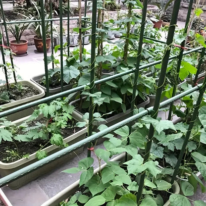 Multi-Purpose Garden Stakes  Durable Support
