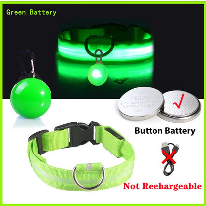 Usb Charging Glowing Dog Collar With Pendant Detachable