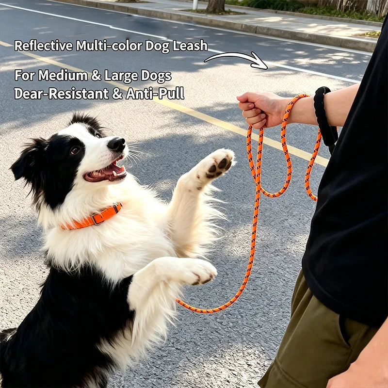 Reflective Extra Long Thick Dog Traction Rope Heavy Duty