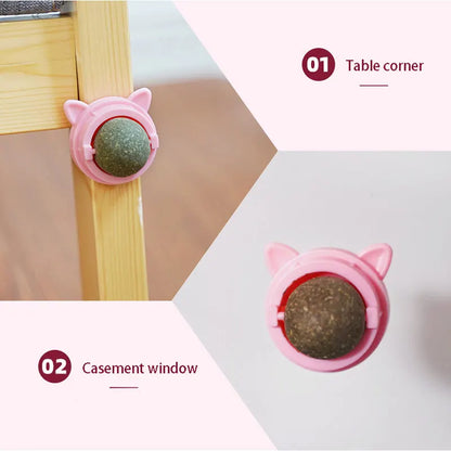 Cats Catnip Cat Toy Natural Ball Removal  Cat Grass
