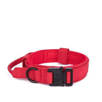 Pet Dog Collar Leash Set Nylon Material Durable Dog Collar