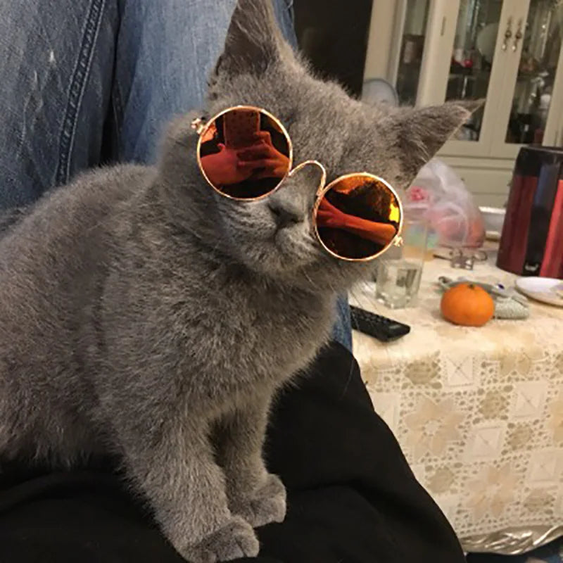 Lovely Vintage Round Cat Sunglasses Reflection Eye wear
