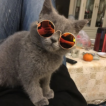 Lovely Vintage Round Cat Sunglasses Reflection Eye wear