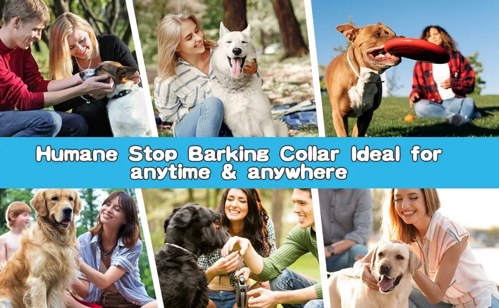 Pet Anti Barking Device USB Rechargeable Training Collar