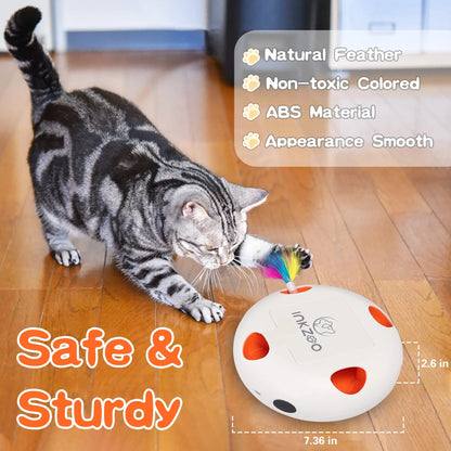 INKZOO Cat Toys, Interactive Cat Toys for Indoor Cats,