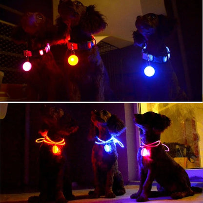 Usb Charging Glowing Dog Collar With Pendant Detachable