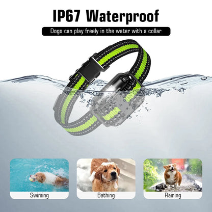 Dog Training Collar with Remote IP67 Waterproof