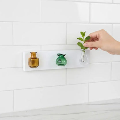 Magnetic Glass Vase Set - Mini Plant Pot Magnets for Refrigerator