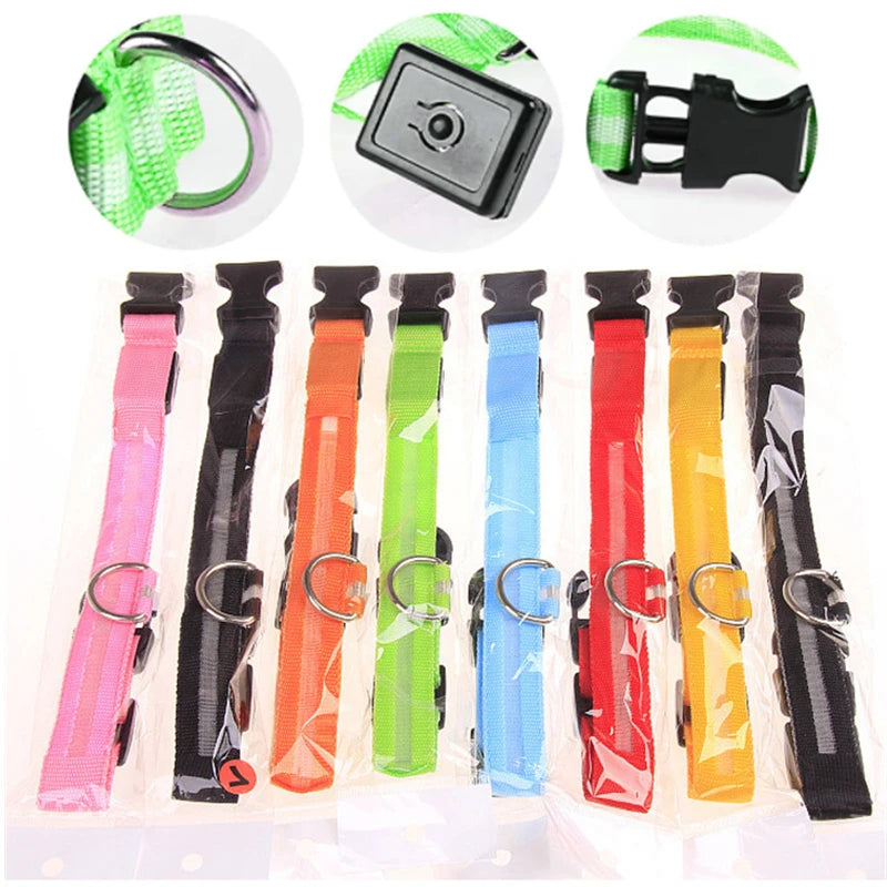 Usb Charging Glowing Dog Collar With Pendant Detachable