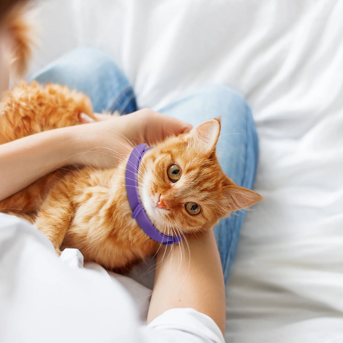 Pet Calming Collar Adjustable Anxiety Pheromone