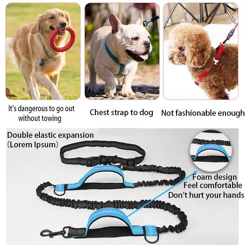 Double elastic reflective running leash portable