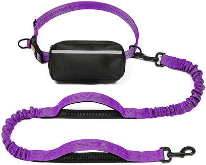 Free Dog Leash with Zipper Pouch Dual Padded Handles