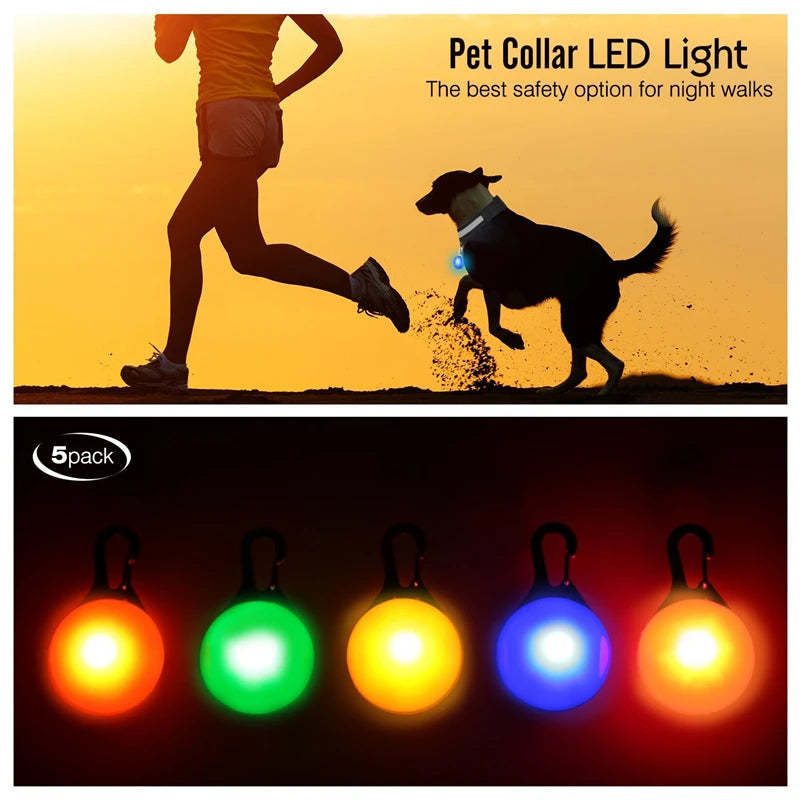 Usb Charging Glowing Dog Collar With Pendant Detachable