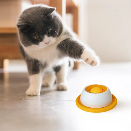 Pet Feeding Accessories Dog Treat Toy Puzzle Toys